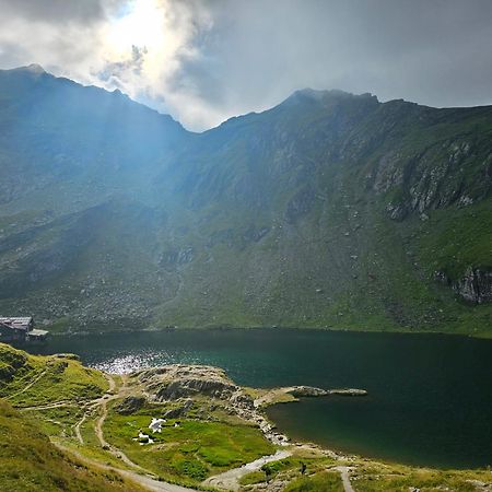 Ferienwohnung Casa Oaspeti Transfagarasan Cîrţişoara Exterior foto