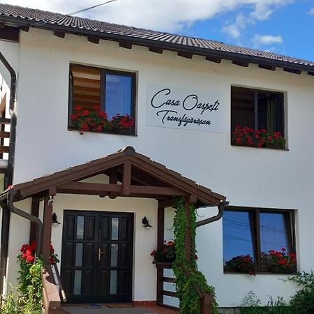 Ferienwohnung Casa Oaspeti Transfagarasan Cîrţişoara Exterior foto