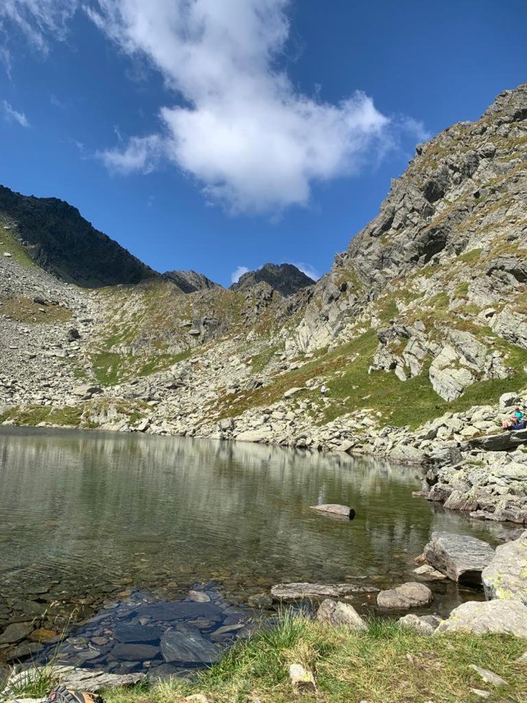 Ferienwohnung Casa Oaspeti Transfagarasan Cîrţişoara Exterior foto