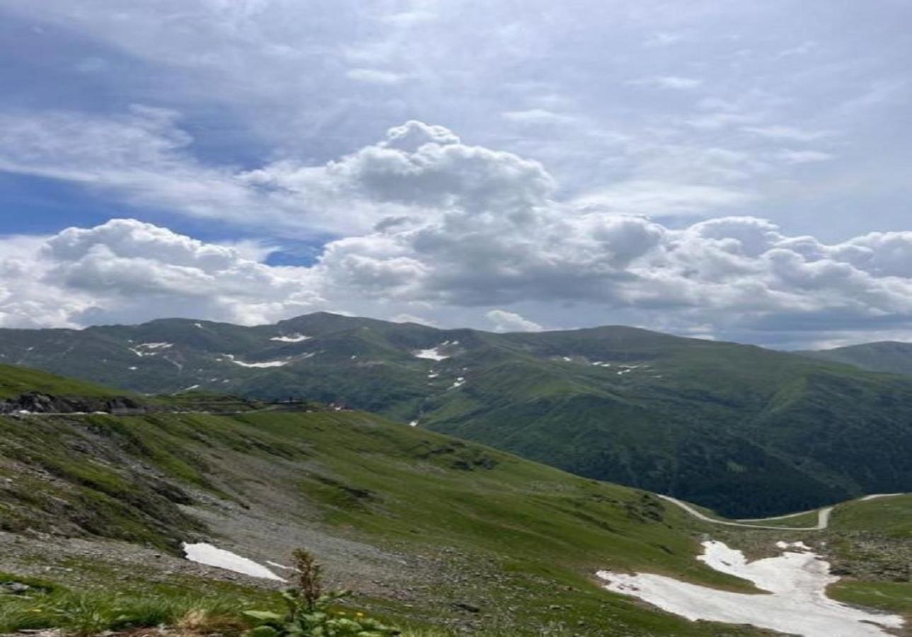 Ferienwohnung Casa Oaspeti Transfagarasan Cîrţişoara Exterior foto